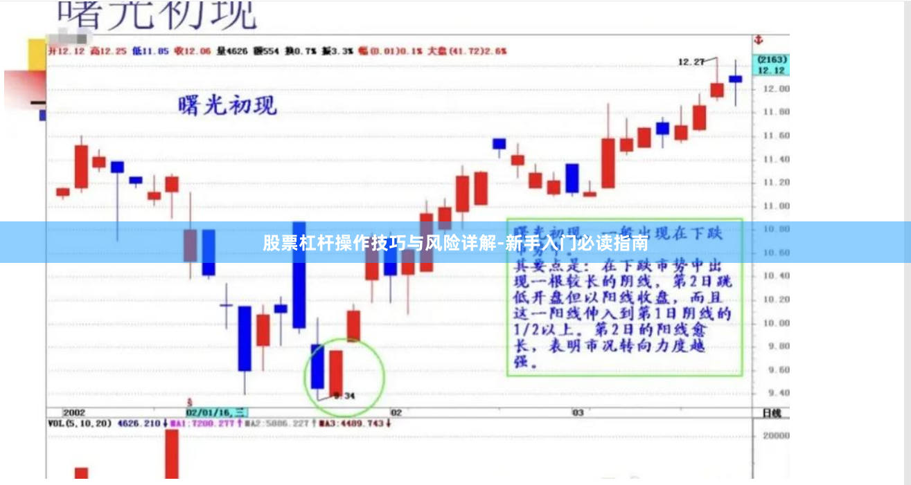 股票杠杆操作技巧与风险详解-新手入门必读指南