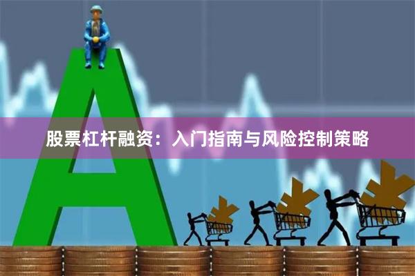 股票杠杆融资：入门指南与风险控制策略