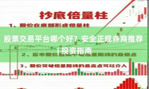 股票交易平台哪个好？安全正规券商推荐 | 投资指南