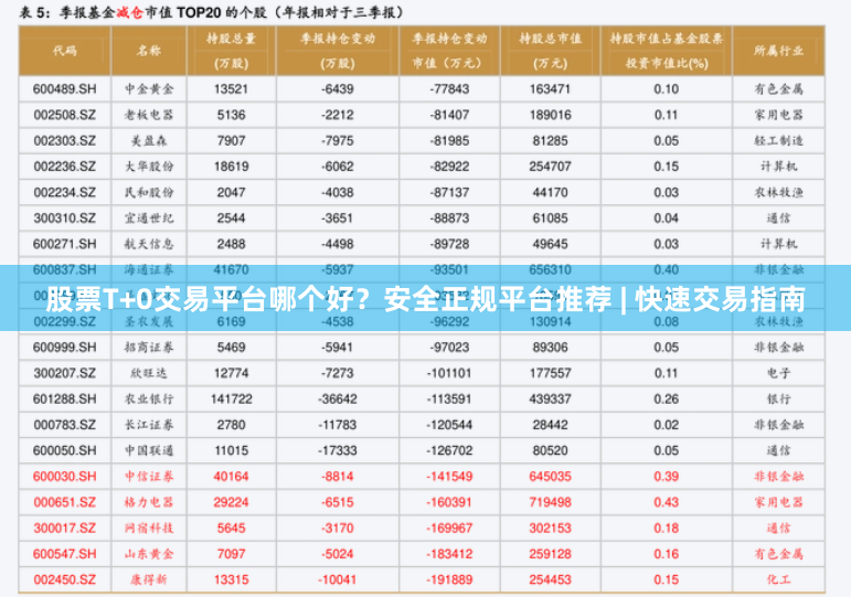 股票T+0交易平台哪个好？安全正规平台推荐 | 快速交易指南